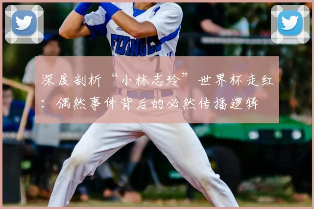 深度剖析“小林志玲”世界杯走红:偶然事件背后的必然传播逻辑