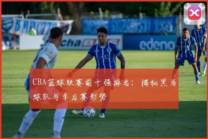 CBA篮球联赛前十强排名:揭秘黑马球队与季后赛形势