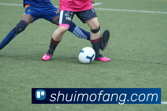 数据防护可视化